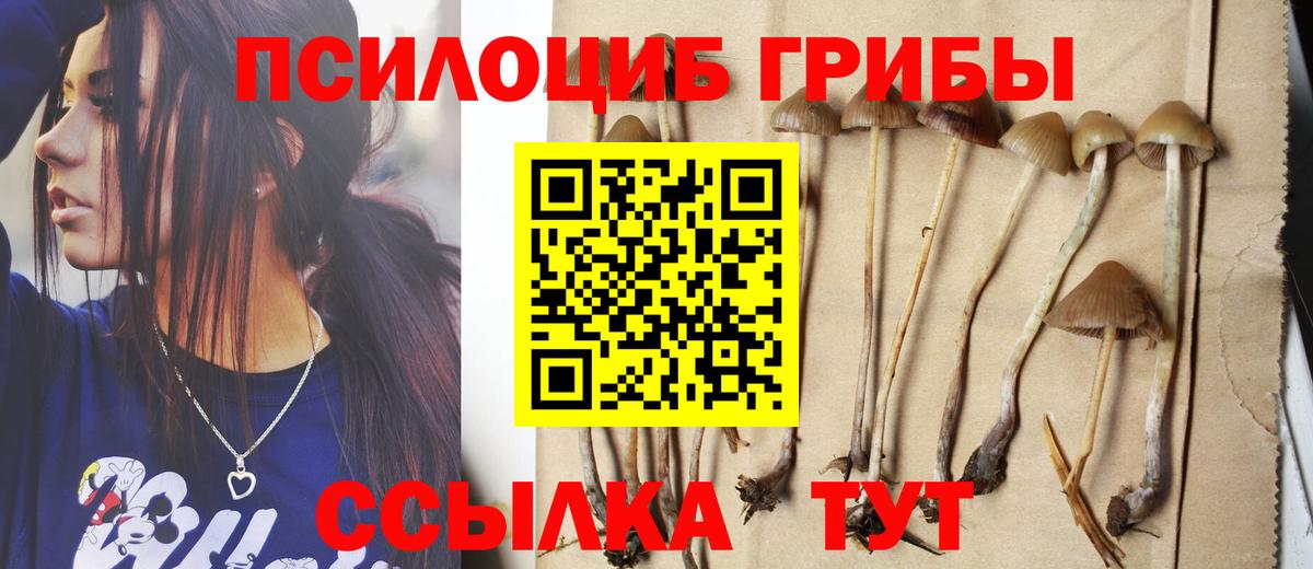 Псилоцибиновые грибы GOLDEN TEACHER Изобильный